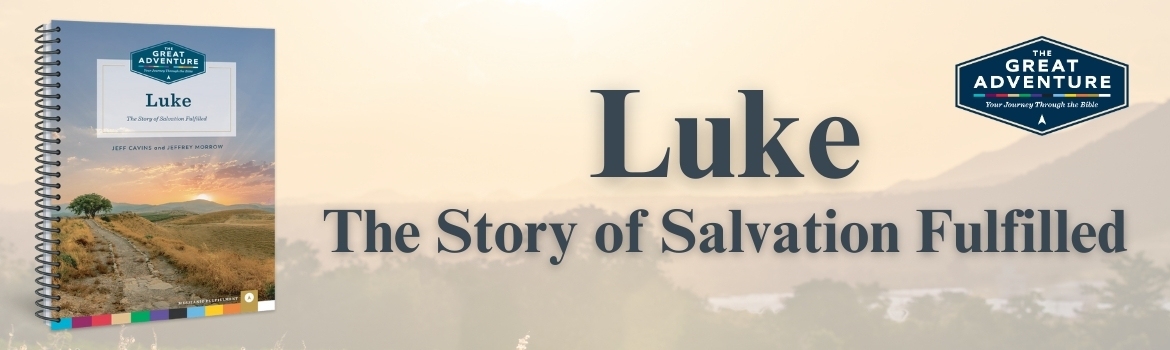 Luke: The Story of Salvation